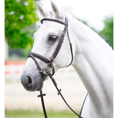 TESTIERA EQUILINE CLINCHER - Selleria La Quercia - articoli per cavalli e  cavalieri