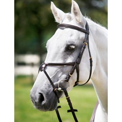 TESTIERA EQUILINE CLINCHER - Selleria La Quercia - articoli per cavalli e  cavalieri